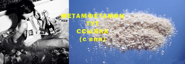 ПСИЛОЦИБИНОВЫЕ ГРИБЫ Осинники