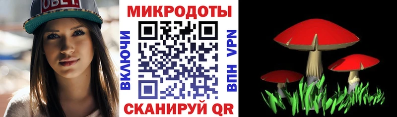 Псилоцибиновые грибы MAGIC MUSHROOMS  цена наркотик  Сухой Лог 