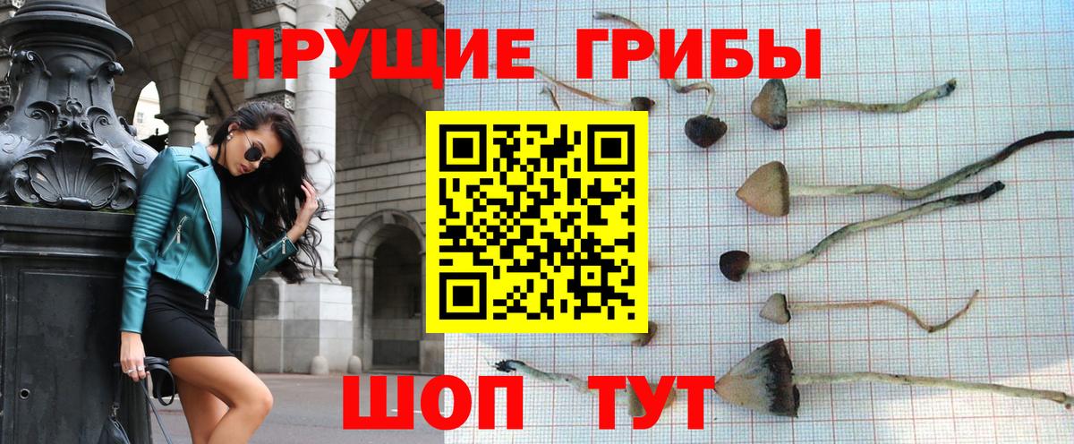 Псилоцибиновые грибы Cubensis Сухой Лог