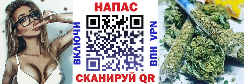 купить  сайты  Сухой Лог  Каннабис ГИДРОПОН 