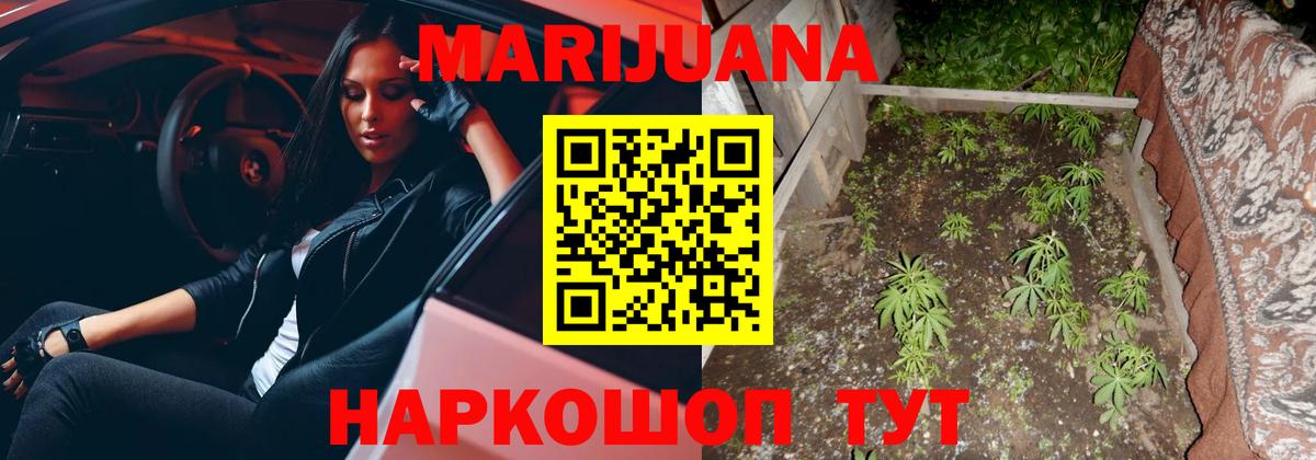 Конопля MAZAR  Бошки Шишки марихуана  Вход с VPN  Бошки марихуана план  Бошки марихуана марихуана  Сухой Лог 
